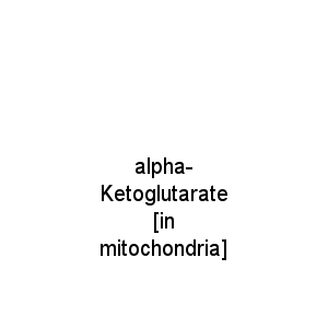 alpha-Ketoglutarate [in mitochondria]